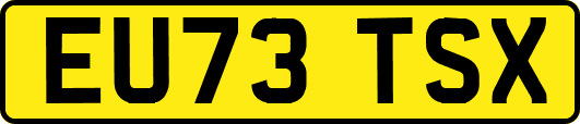 EU73TSX