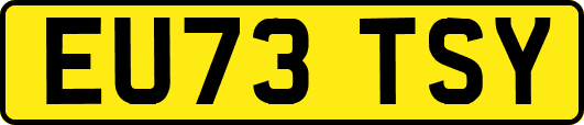 EU73TSY