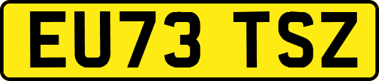 EU73TSZ