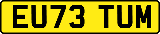 EU73TUM