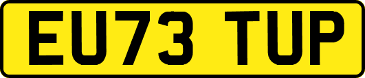 EU73TUP