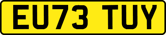 EU73TUY