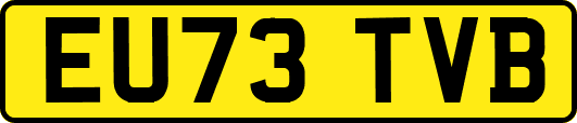 EU73TVB