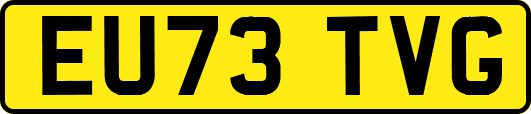 EU73TVG