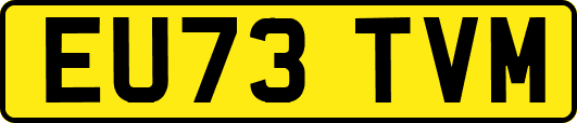 EU73TVM