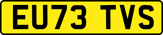 EU73TVS