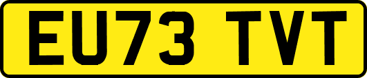 EU73TVT