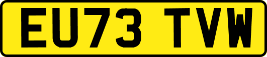 EU73TVW