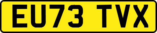 EU73TVX