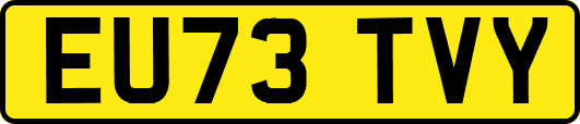 EU73TVY