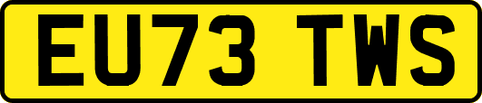 EU73TWS