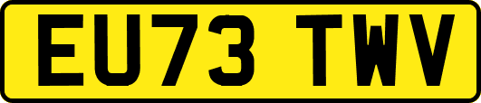 EU73TWV