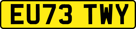 EU73TWY