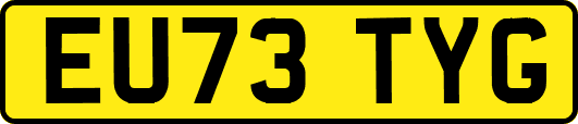 EU73TYG