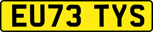 EU73TYS