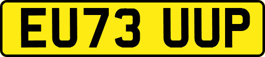 EU73UUP