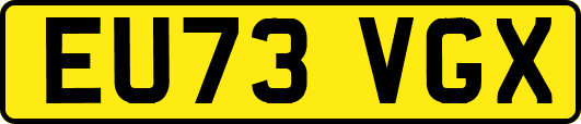 EU73VGX