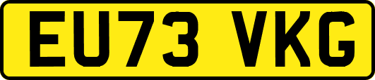 EU73VKG