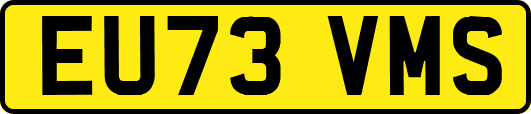 EU73VMS
