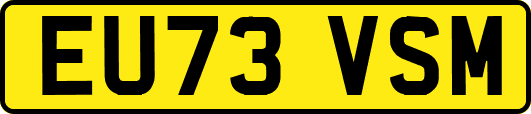 EU73VSM