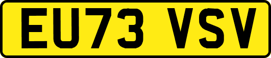 EU73VSV