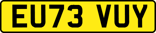 EU73VUY