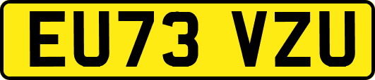 EU73VZU