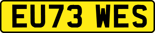 EU73WES