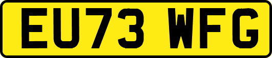 EU73WFG