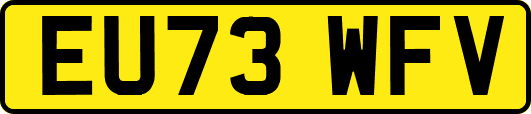 EU73WFV