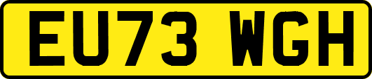 EU73WGH
