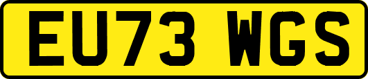 EU73WGS