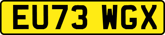 EU73WGX