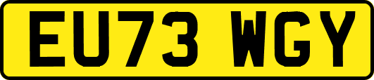 EU73WGY