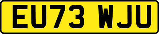 EU73WJU