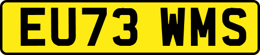EU73WMS