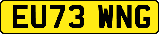 EU73WNG