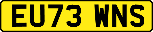 EU73WNS