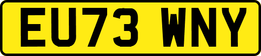 EU73WNY