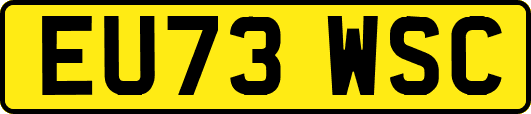 EU73WSC