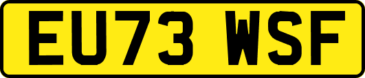 EU73WSF