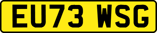 EU73WSG