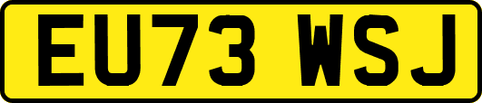 EU73WSJ