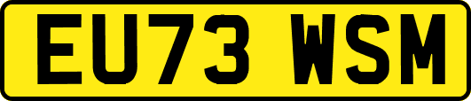 EU73WSM