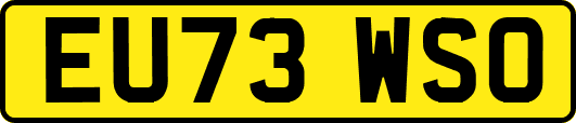 EU73WSO