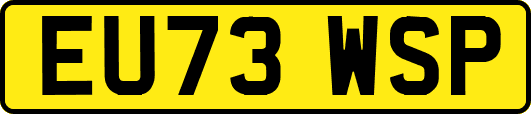 EU73WSP