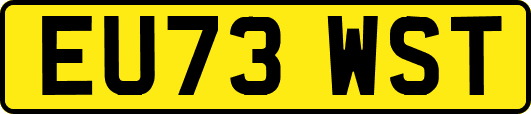 EU73WST