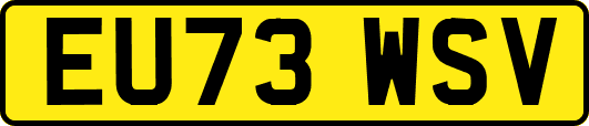 EU73WSV