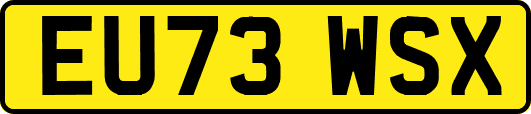 EU73WSX