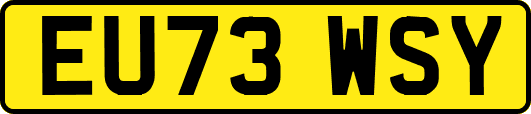 EU73WSY